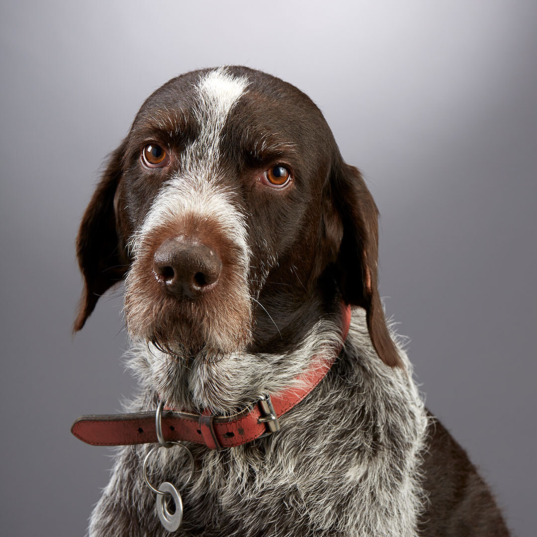 Headshot_0002_BHP_Hector_0012