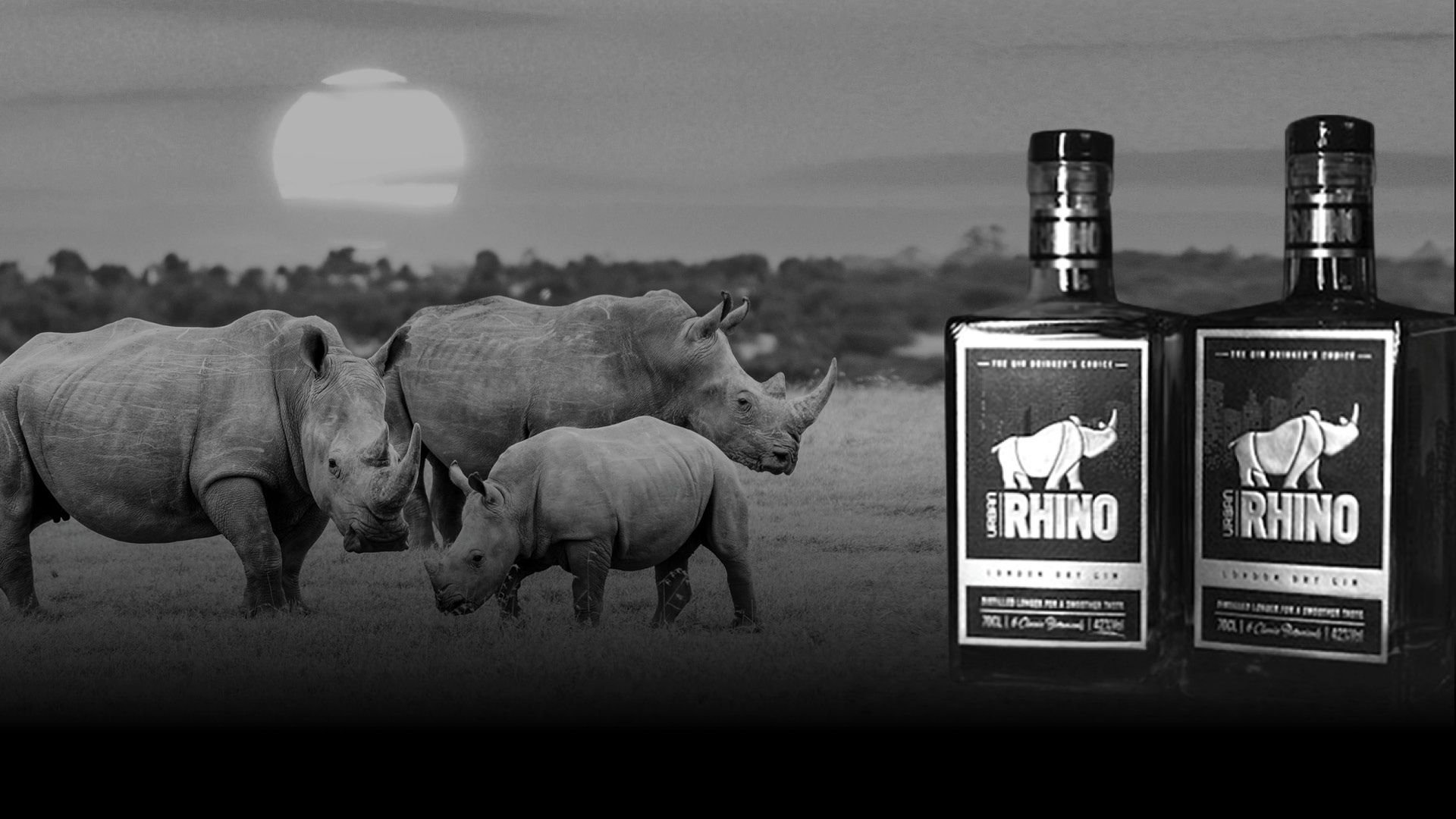 Urban Rhino Gin: A Journey of Rhinos, Compassion, and Craftsmanship \ Blog \ Announcement \ BH&P